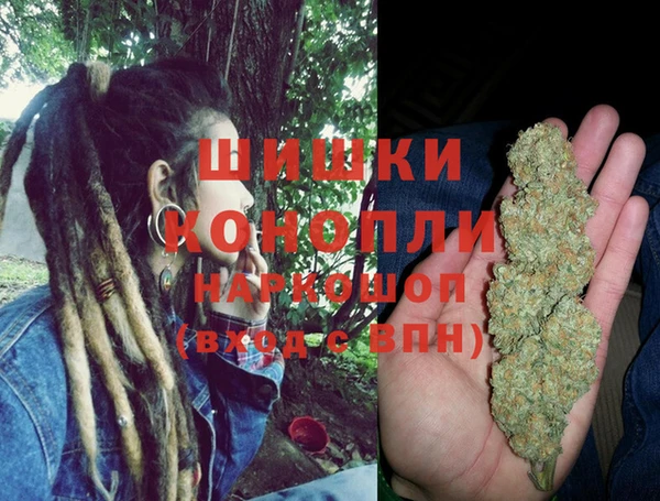 мдпв Мегион
