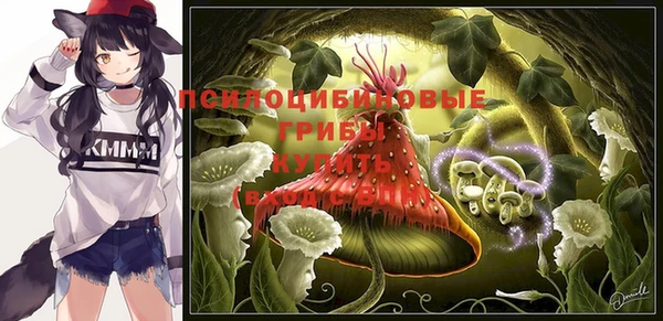 меф Медвежьегорск
