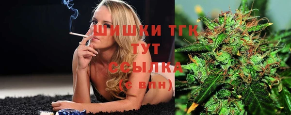 мдпв Мегион