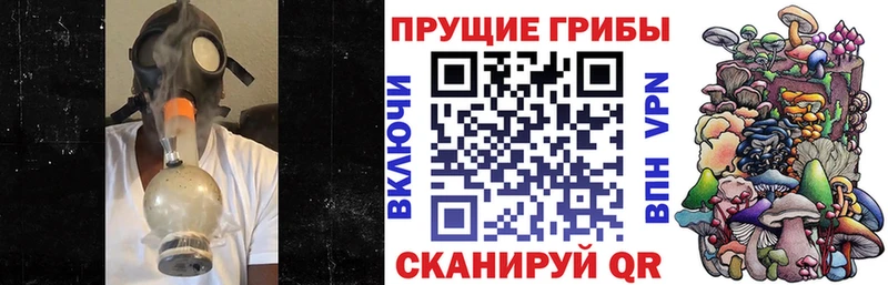 Галлюциногенные грибы Psilocybine cubensis  купить наркотики цена  Самара 
